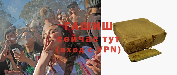 mdpv Бородино