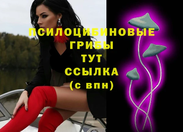 спиды Бугульма