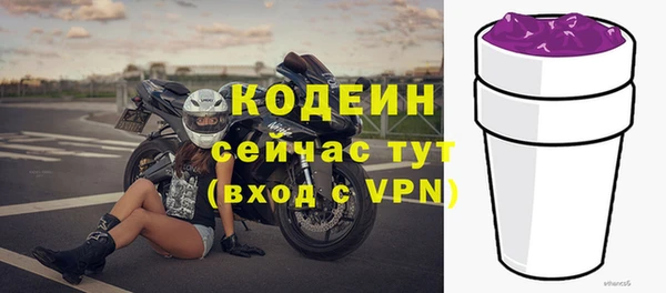 стафф Верхний Тагил