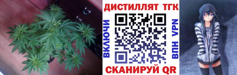 гидра ссылки  Володарск  ТГК гашишное масло  купить наркотики цена 