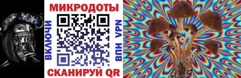 нарко площадка состав  купить   Володарск  Галлюциногенные грибы Cubensis 